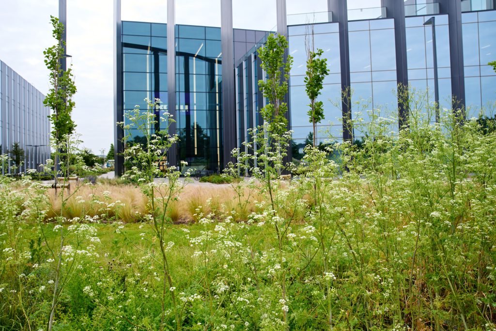 Building 2 at Cambridge Science Park